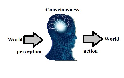 Consciousness in Psychology