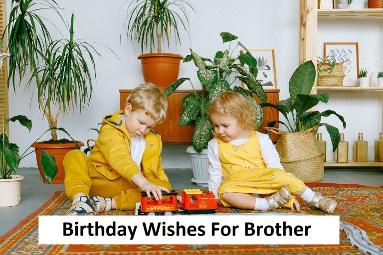 Read more about the article Best Birthday Wishes For Brother