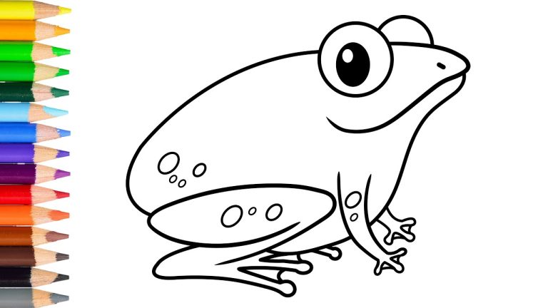 Read more about the article How to Draw a Frog
