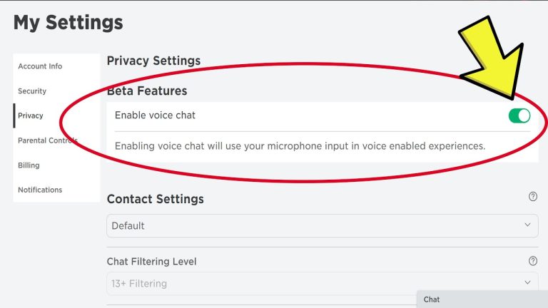 Read more about the article How to Get Voice Chat on Roblox