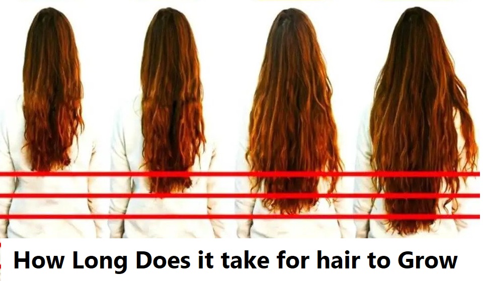 You are currently viewing How Long Does it take for hair to Grow